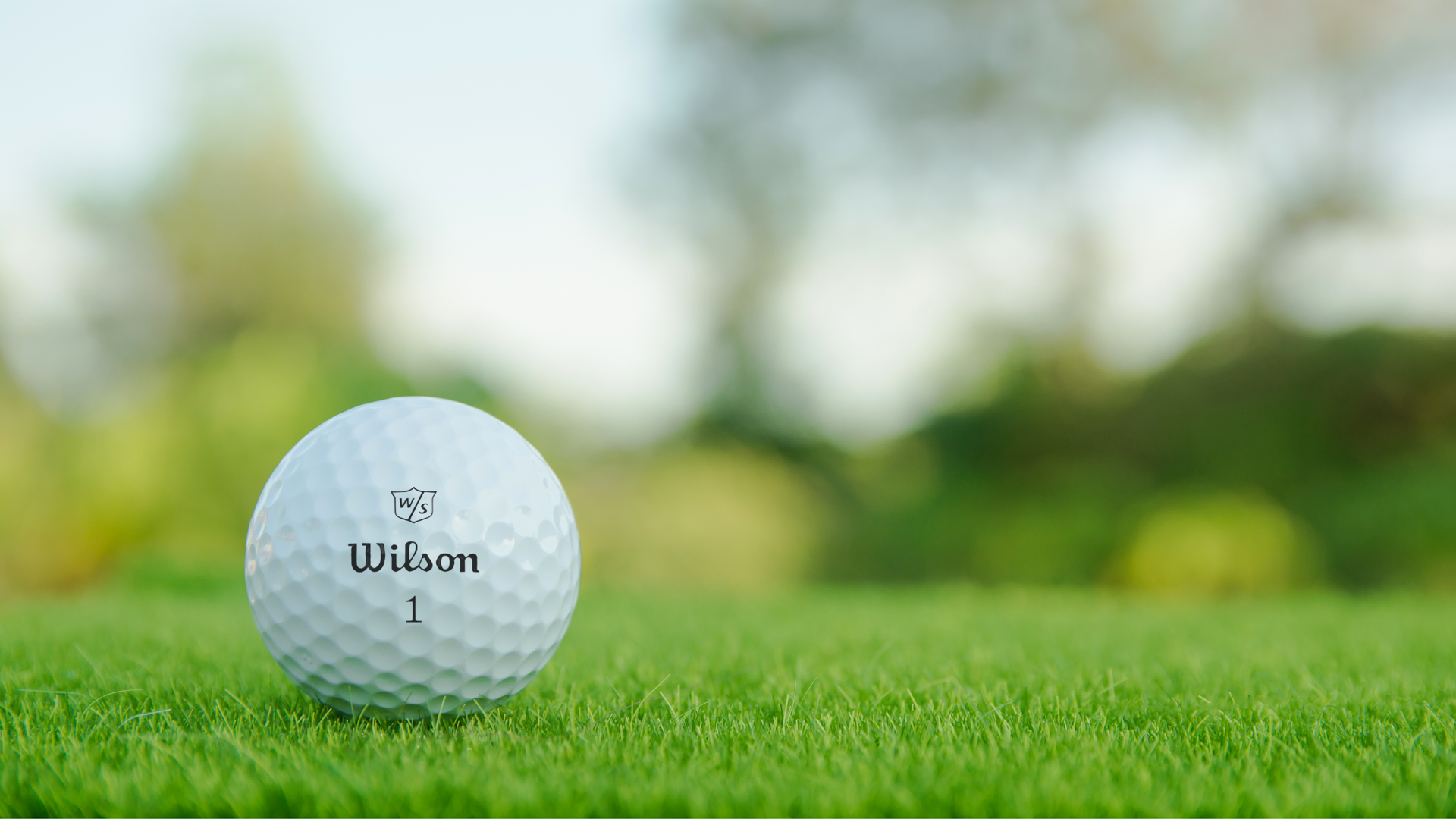 Billiga Golfbollar frånWilson Staff 