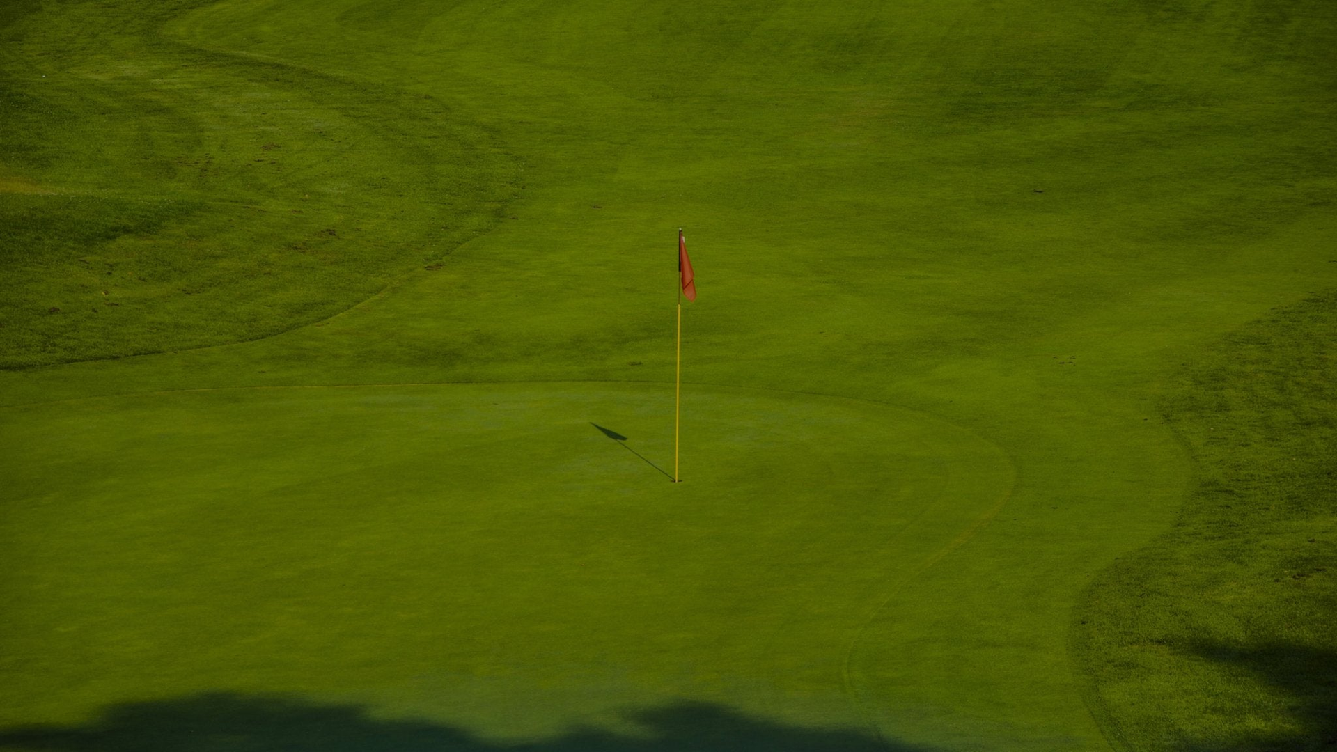 Kirkland Golfbollar