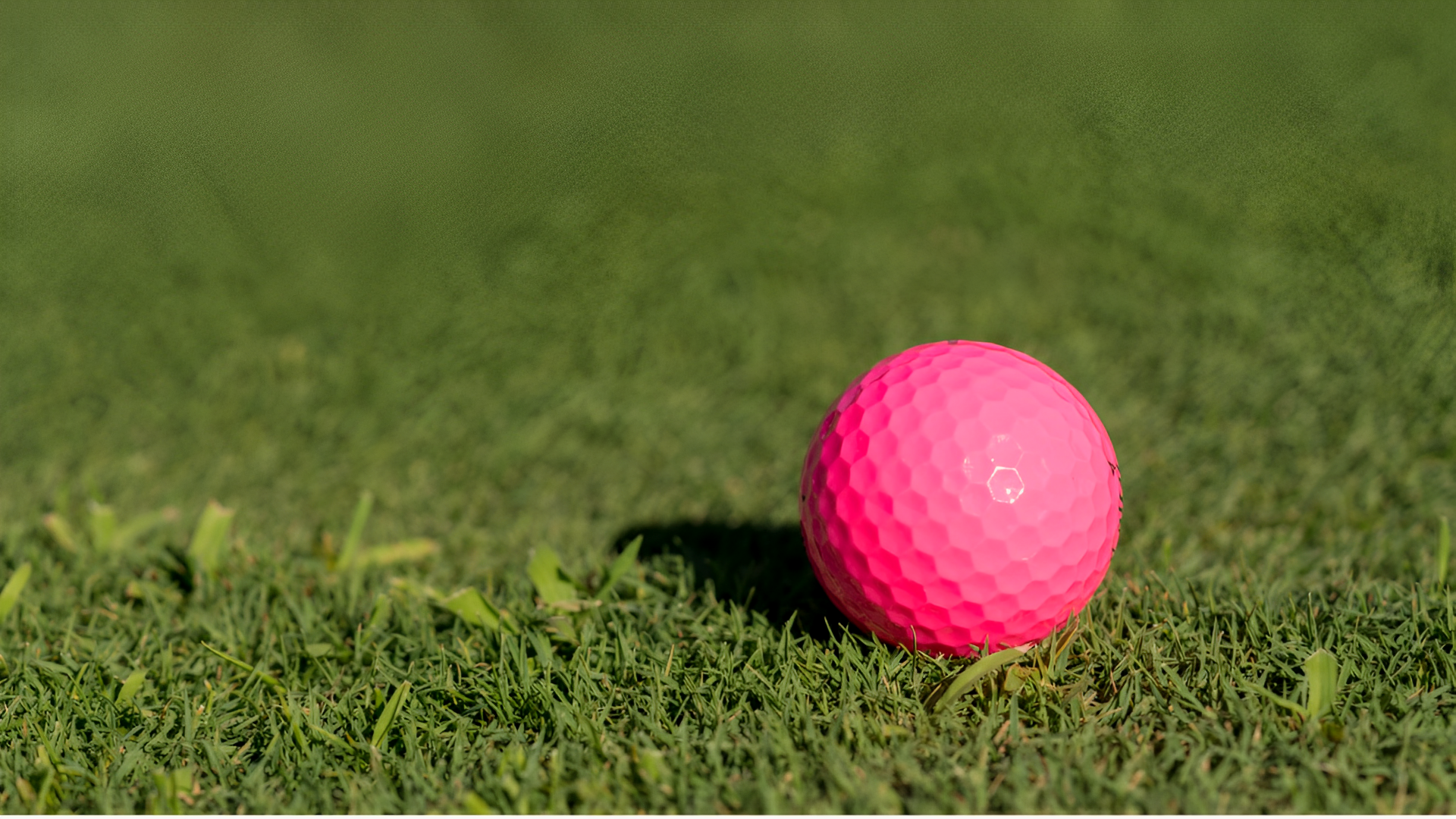 Rosa Golfbollar