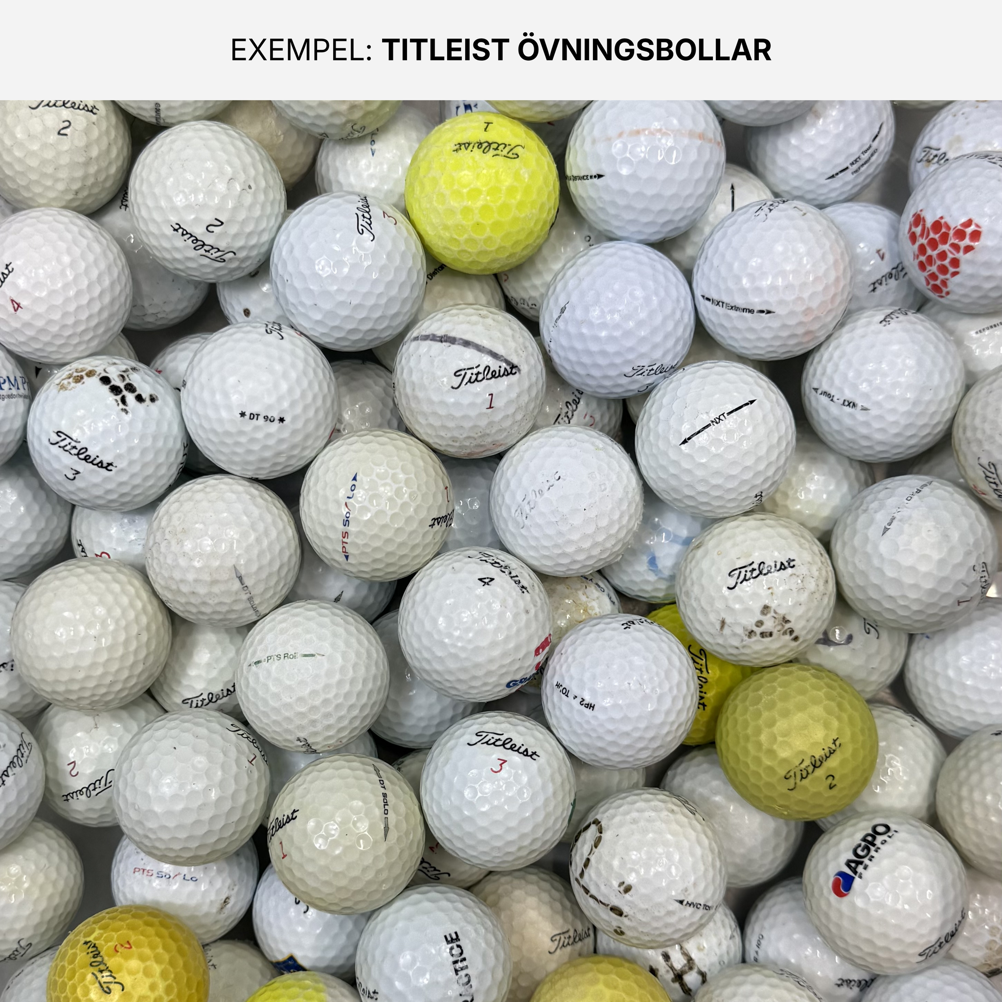 Titleist Övningsbollar 50-Pack