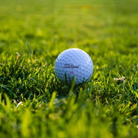 Titleist Mix 12-Pack