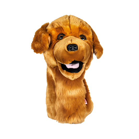 Headcover Golden Retriever