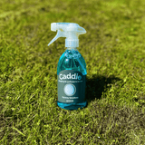 Caddie