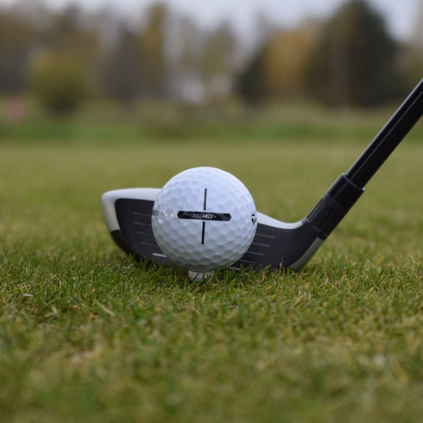 TaylorMade Distance+ Årsförbrukning 6×12-Pack