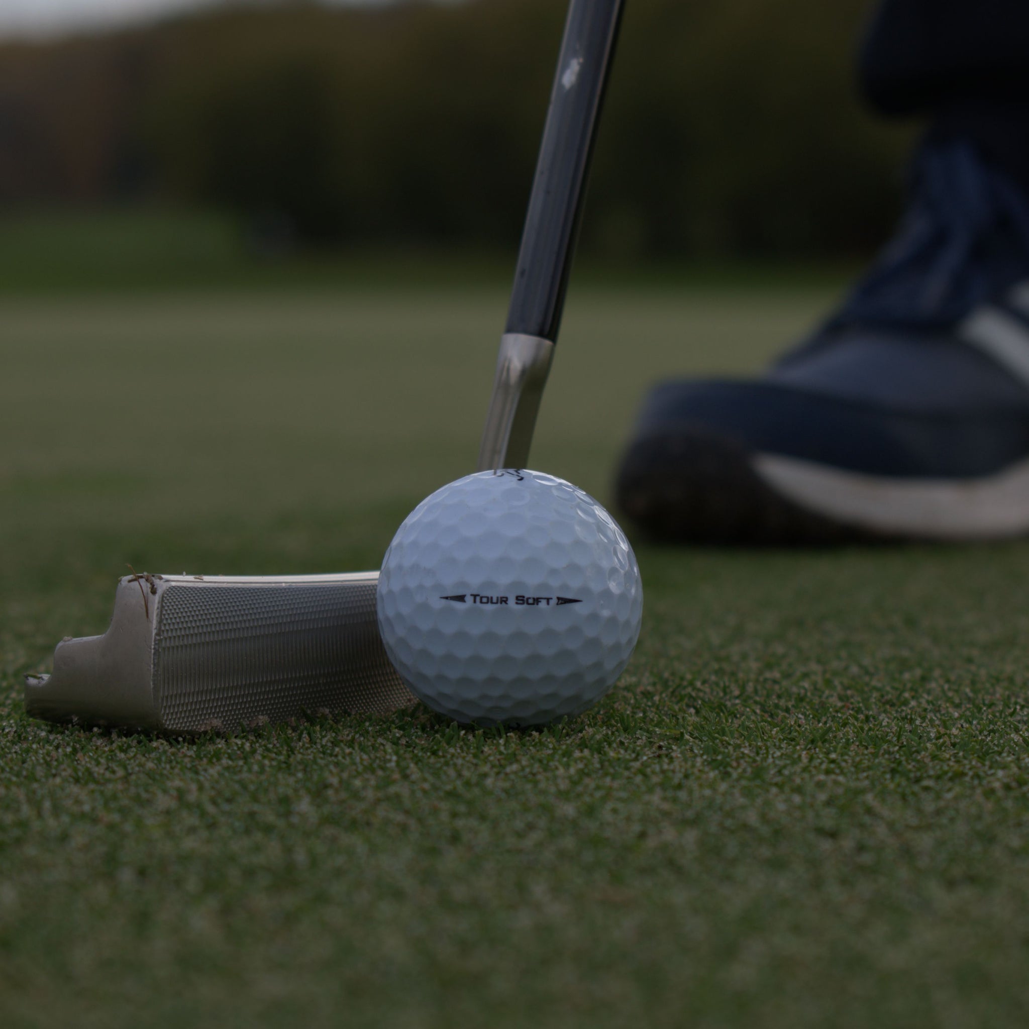 En närbild på en Titleist Tour Soft som ligger på en green framför en putter.