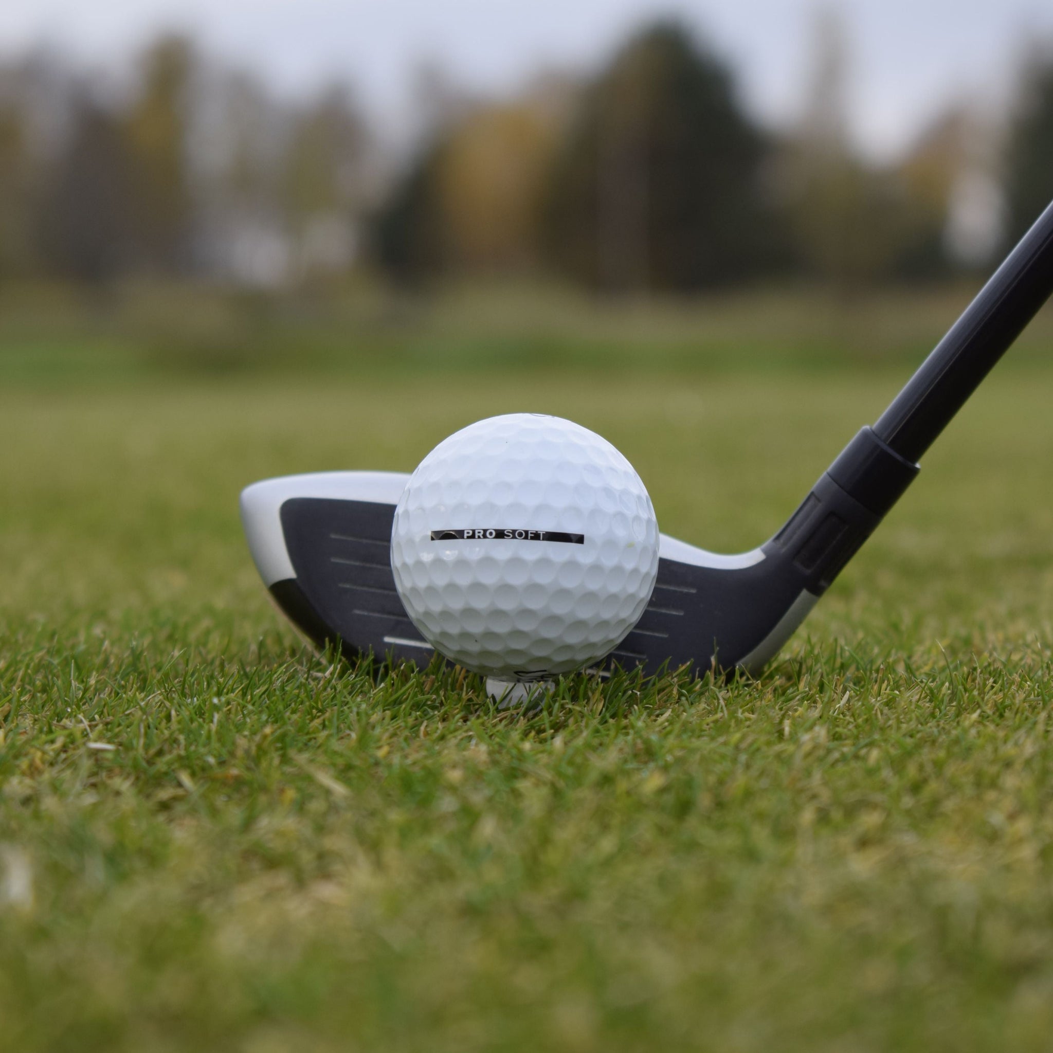 En närbild på en Vice Pro Soft golfboll framför en Hybrid golfklubb. Golfbollen är lite upp peggad.