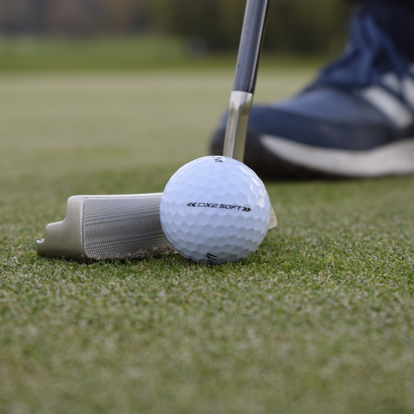 En närbild på en Wilson DX2-Soft golfboll som ligger på en green framför en golf putter.