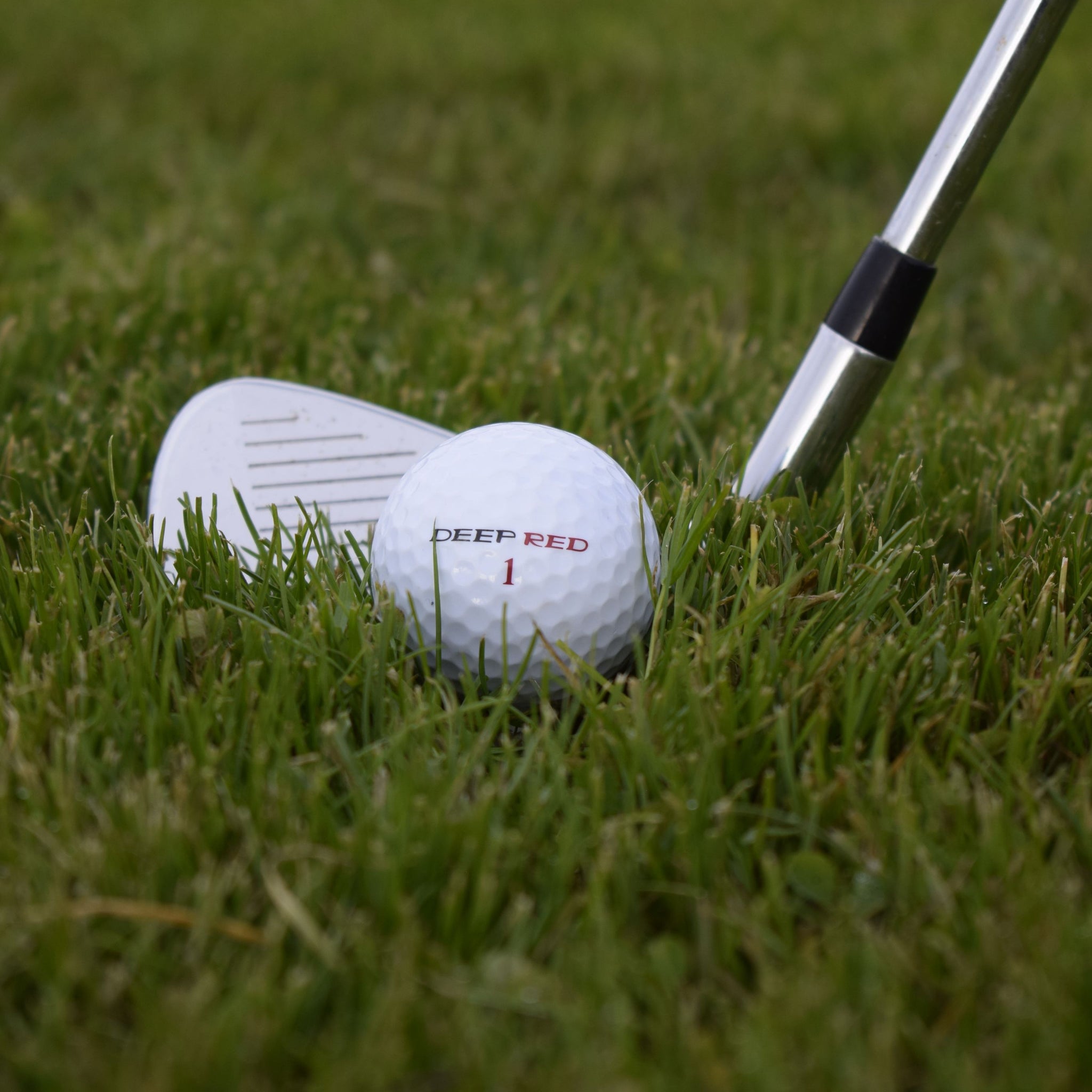 Närbild på Wilson Deep Red 12-Pack som ligger i gräset framför en golfklubba.