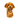 Headcover Golden Retriever från Daphne headcovers hos pliktgolf.se