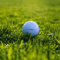 Srixon Z-Star golfbollar på gräs, hållbart val för golfare som söker kontroll och prestanda. Finns att handla på Plikt Golf