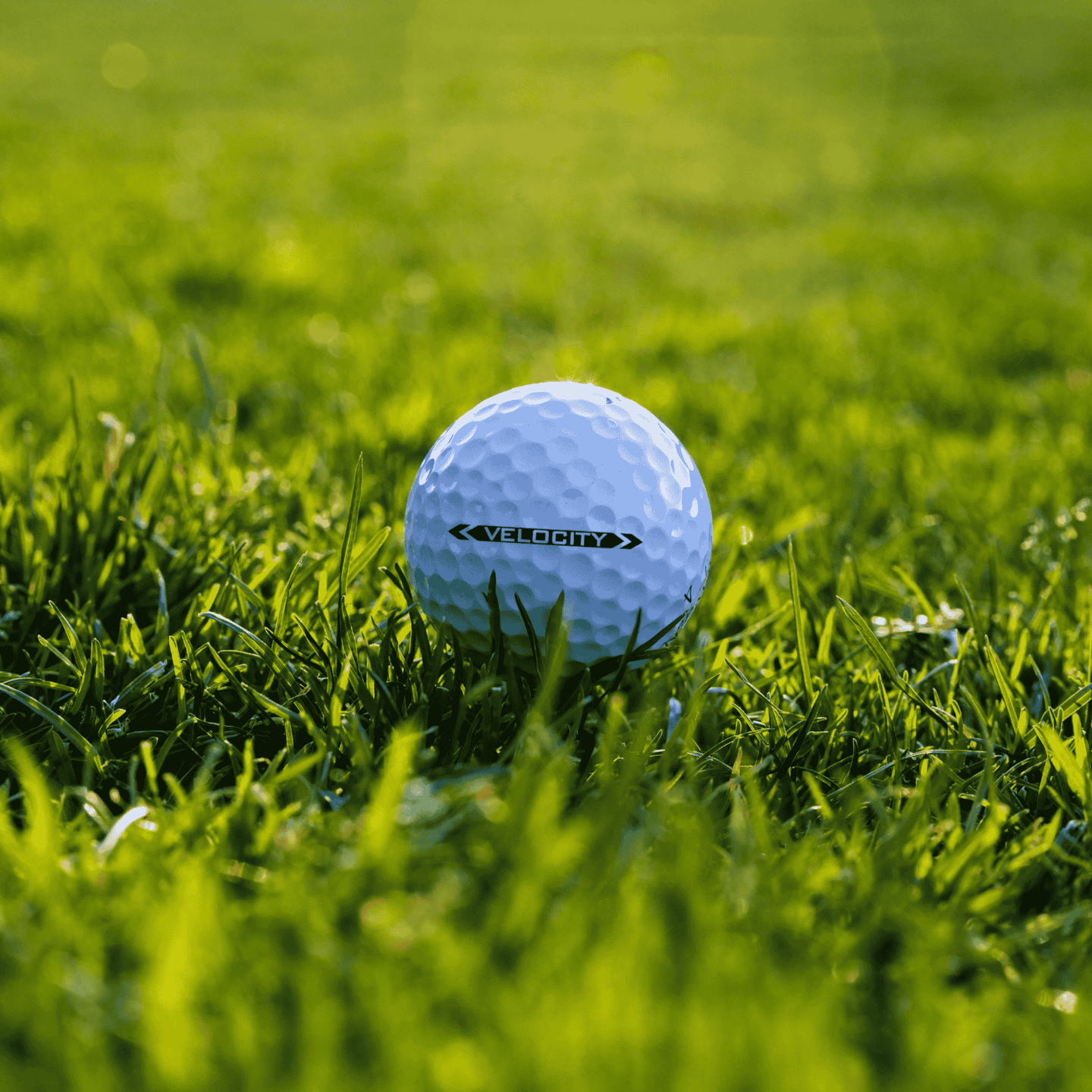 Titleist Velocity golfbollar på gräs– hållbart val för golfare som söker längd och prestanda